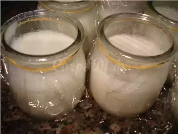 Receita 1, 2, 3 experiência... iogurtes (sem iogurteira)