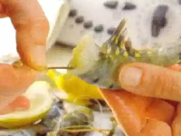 Receita Couscous de gambas com bisque