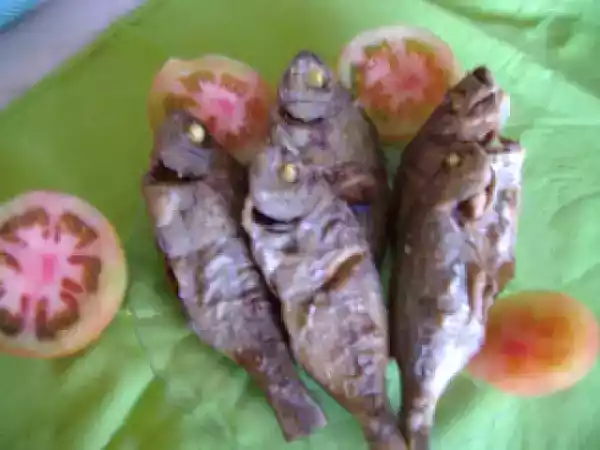 Receita Sargos fritos