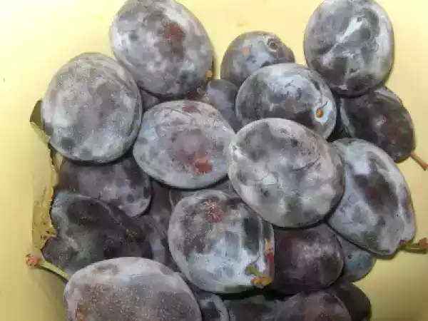 Receita Doce de abrunhos