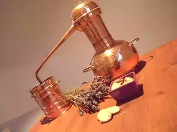 Receita Lavanda cookies