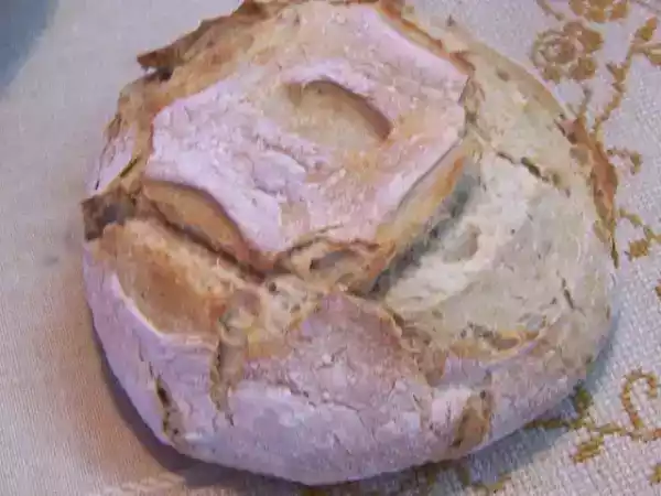 Receita Pão saloio