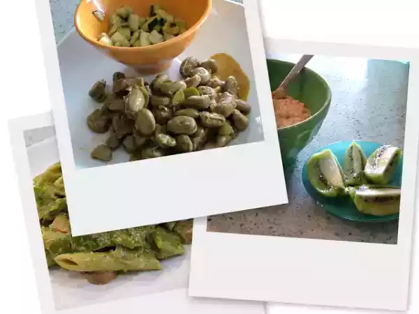 Receita Umas favas guisadas e a primeira massa!