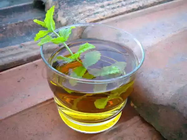 Receita Chá gelado de hortelã