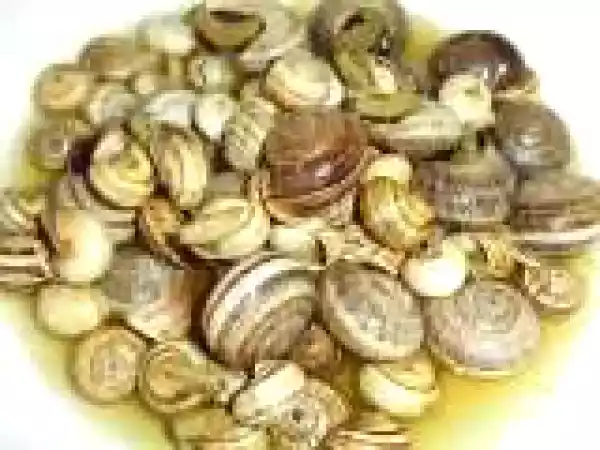 Receita Caracois à moda do Chico