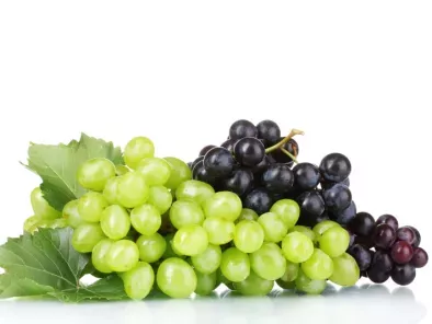 receitas uva