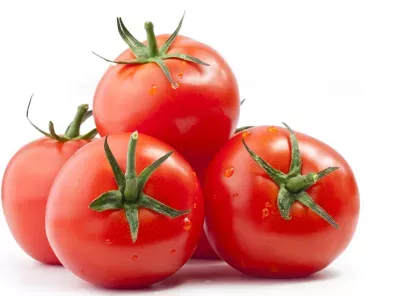 receitas tomate