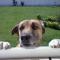 clara_s2024_9