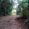 elaine_c2025