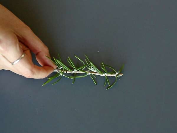 Coquetel de Natal com efeito nevado: leve, aromático e lindo na mesa - Preparação Passo 1