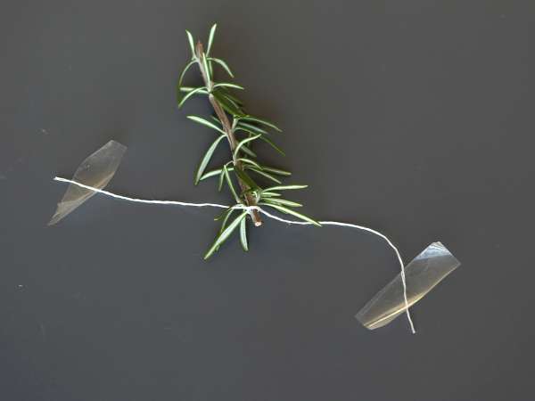 Coquetel de Natal com efeito nevado: leve, aromático e lindo na mesa - Preparação Passo 3