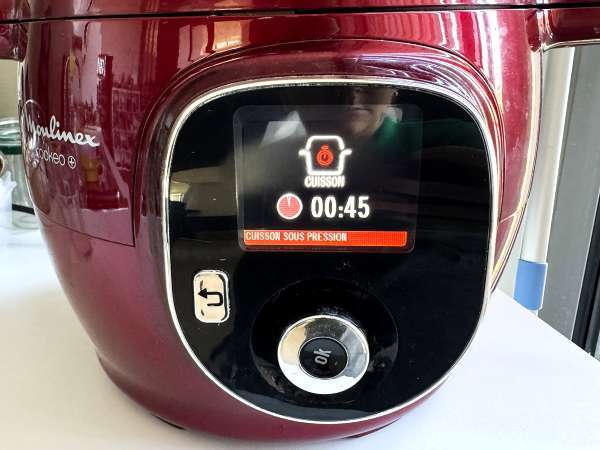 Carne de porco desfiada (pulled pork) na panela de pressão que desmancha - Preparação Passo 4