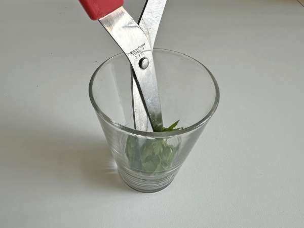 Croutons crocantes de ervas na Air Fryer (fáceis e rápidos) - Preparação Passo 3