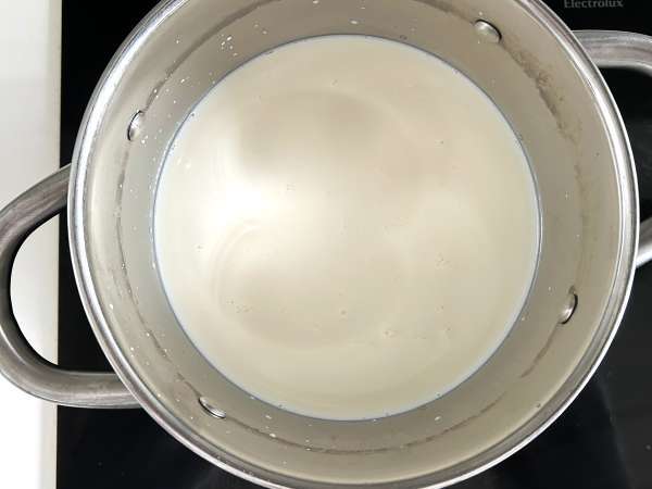 Queijo cottage caseiro com apenas dois ingredientes! - Preparação Passo 1