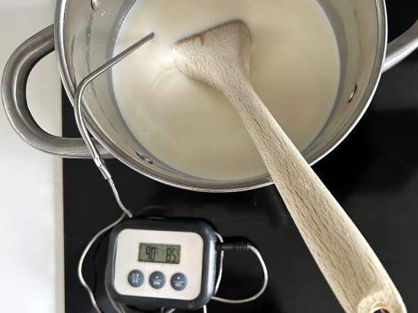 Queijo cottage caseiro com apenas dois ingredientes! - Preparação Passo 2