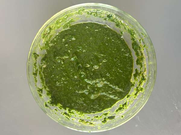 Palak tofu: caril indiano com espinafre e tofu - Preparação Passo 5
