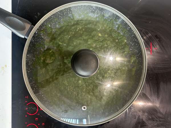 Palak tofu: caril indiano com espinafre e tofu - Preparação Passo 9
