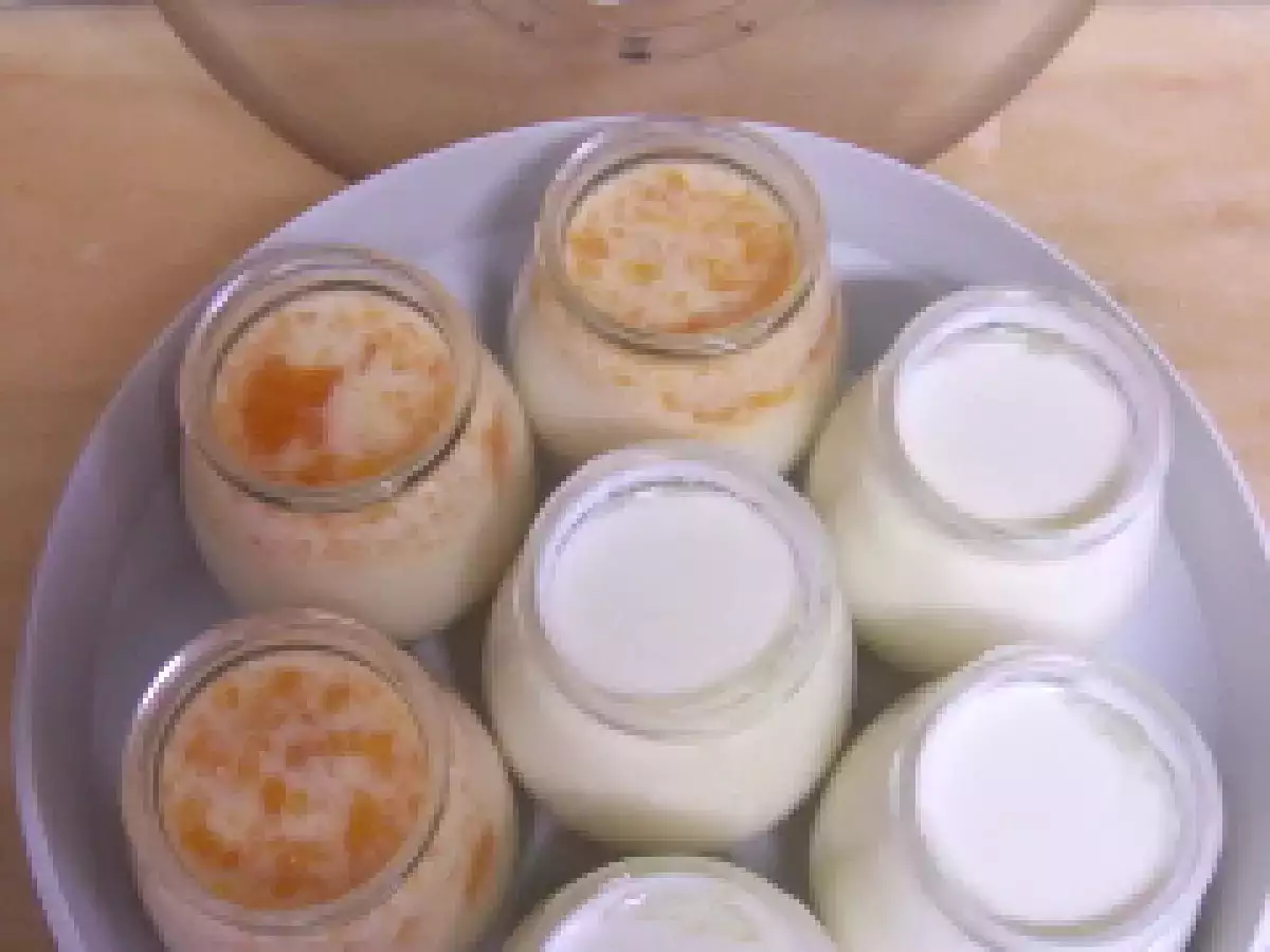 Ajudantes de cozinha, IOGURTEIRA, iogurtes de coco e papaia - foto 2
