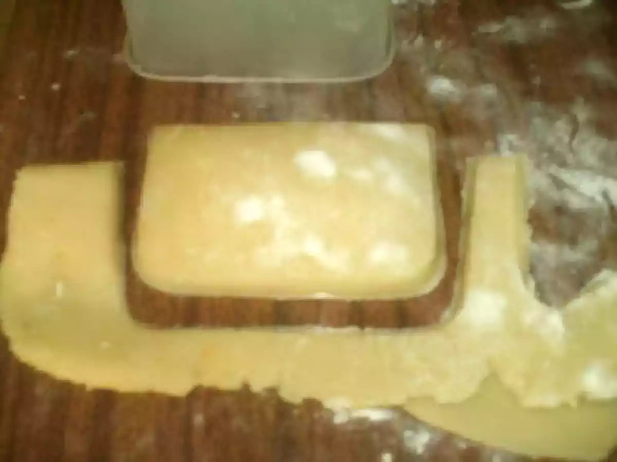 Almofadas de salmão - foto 6