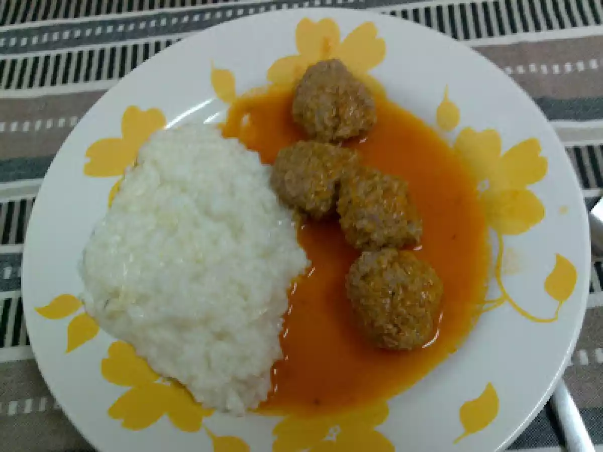 ALMÔNDEGAS NA BIMBY ACOMPANHADAS POR RISOTTO NA FUSSION COOK