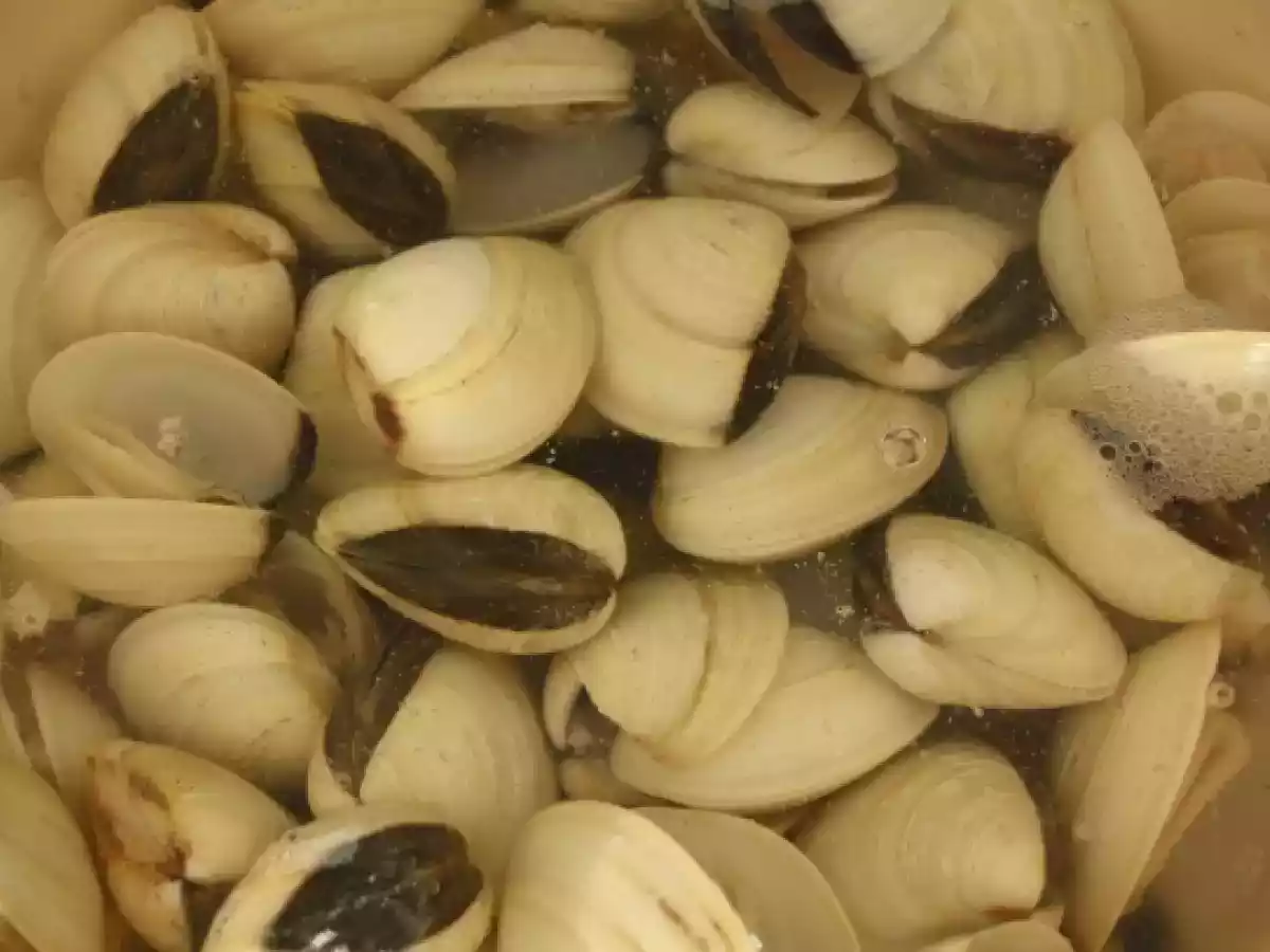 Amêijoas com coentros e limão - foto 2