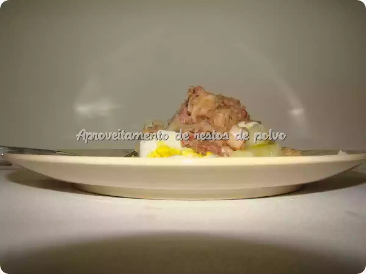 Aproveitamento de restos de polvo