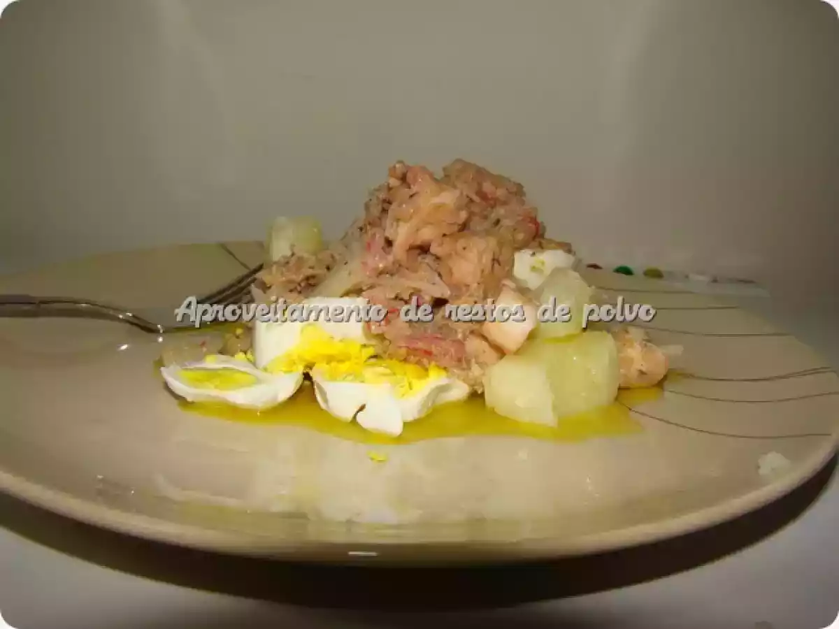 Aproveitamento de restos de polvo - foto 2