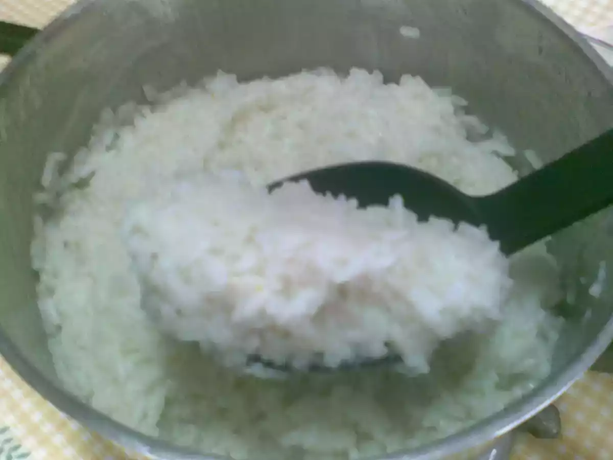 Arroz Branco Muito Rápido