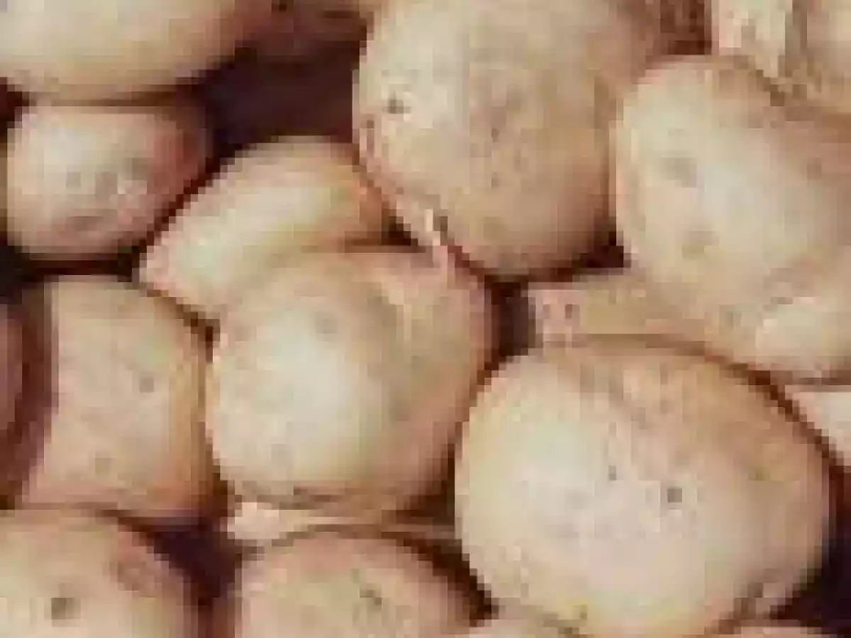 Aveludado de Batata com Alheira, Cogumelos e Aroma de Trufa