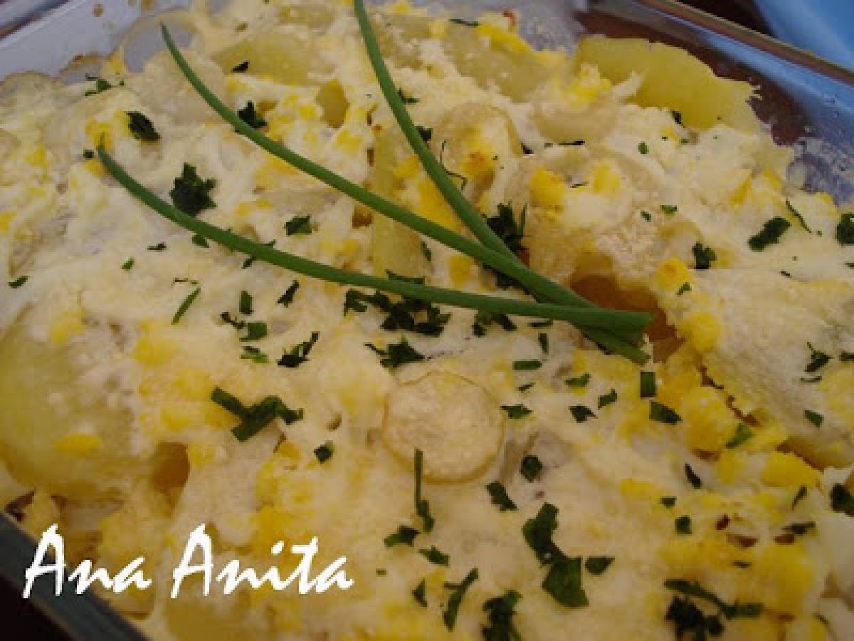 Batata Vienense (Anita)