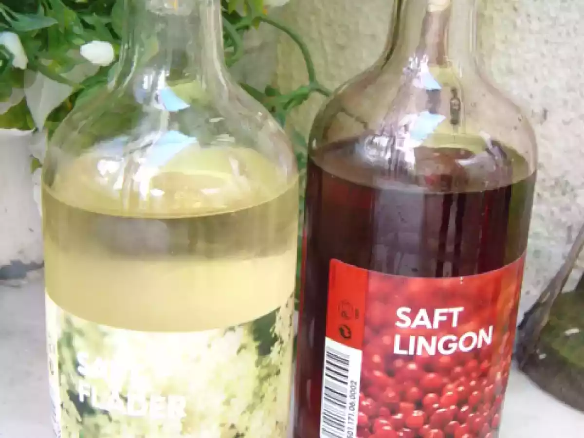 Bebidas refrescantes - Flor de Sabugueiro, Mirtilo, Gengibre, Ho - foto 2