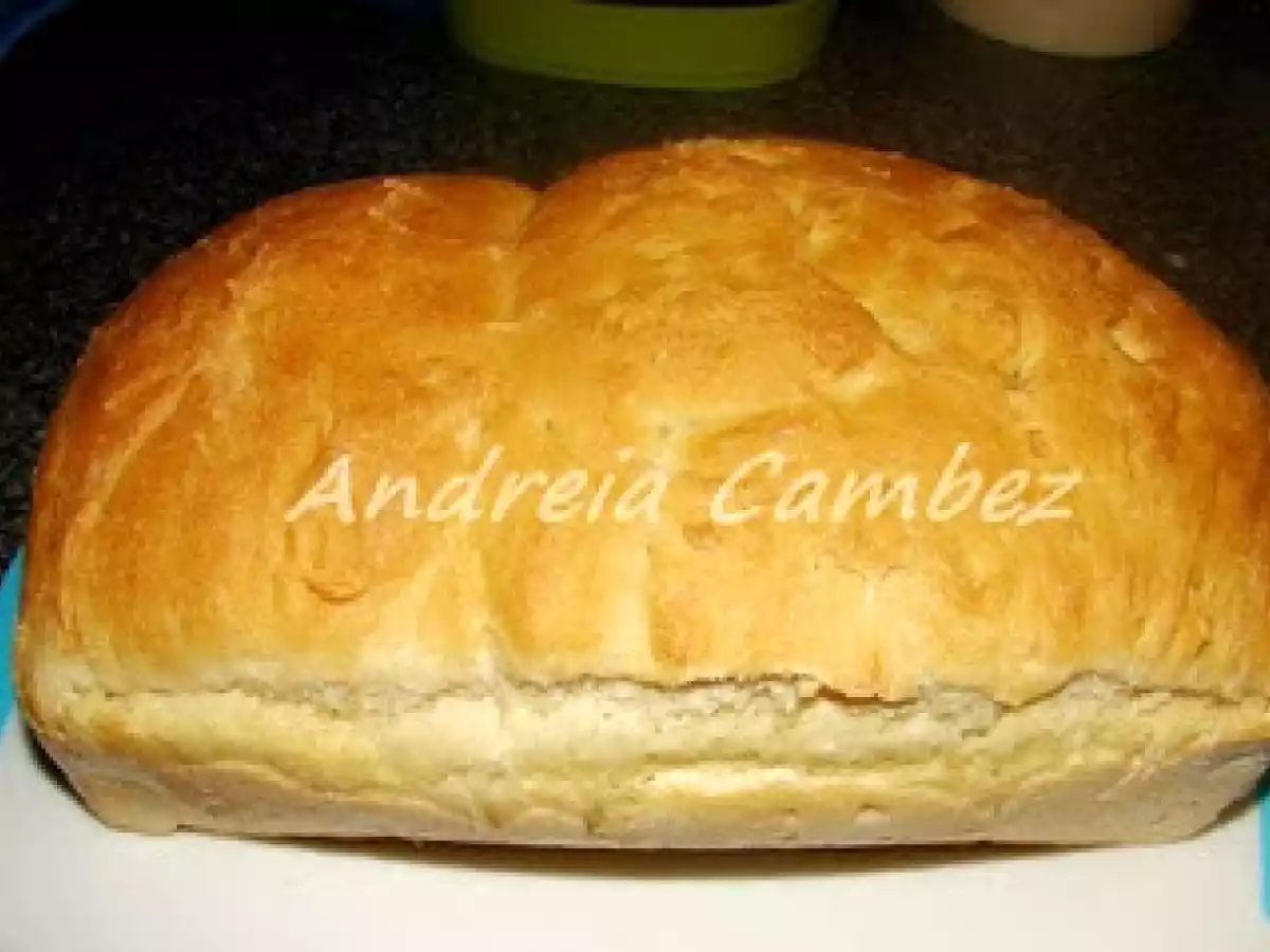 Bimby - Pão de Taiwan
