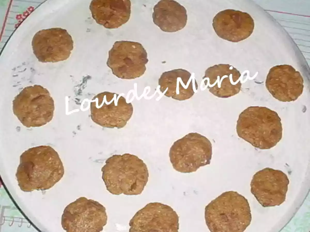 BISCOITO DE AVEIA DIET COM GOTAS DE CHOCOLATE