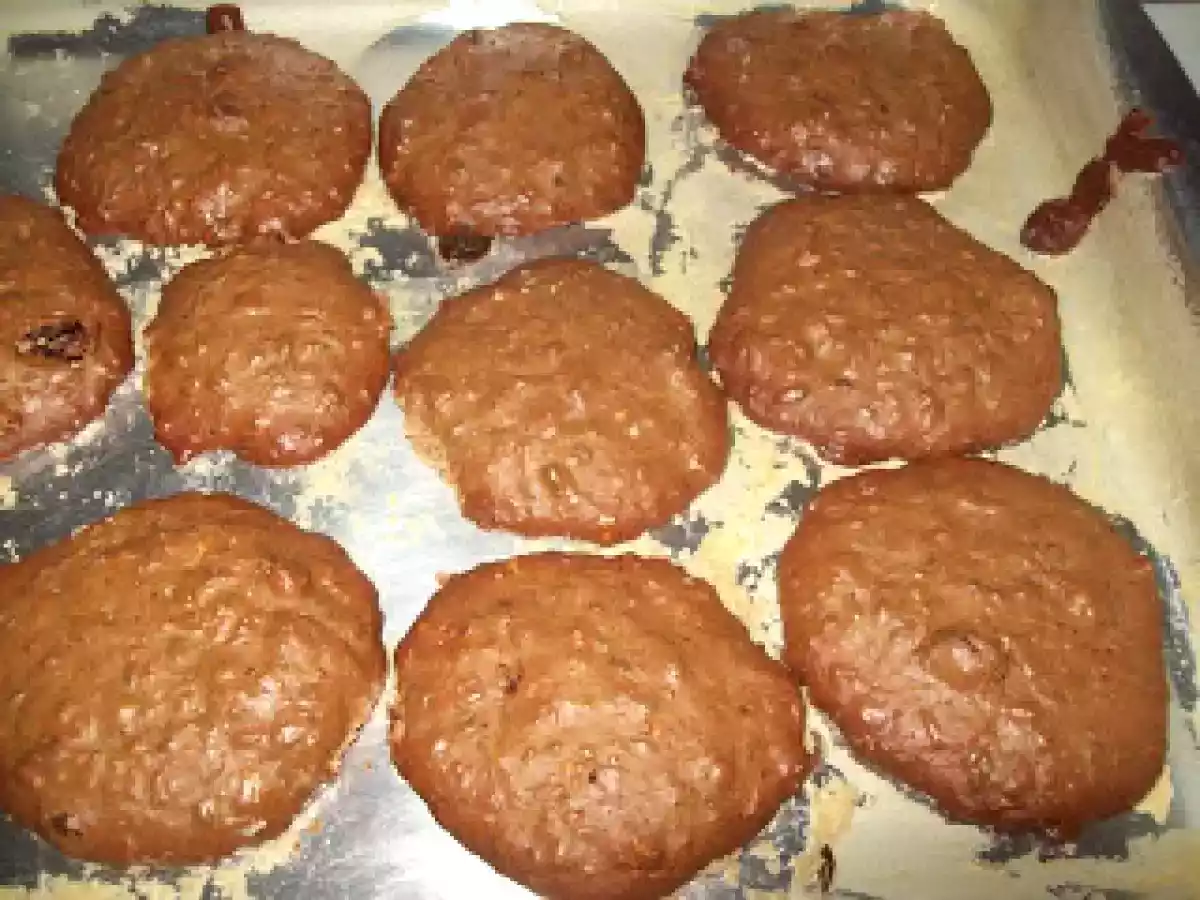 Biscoito de Fibras