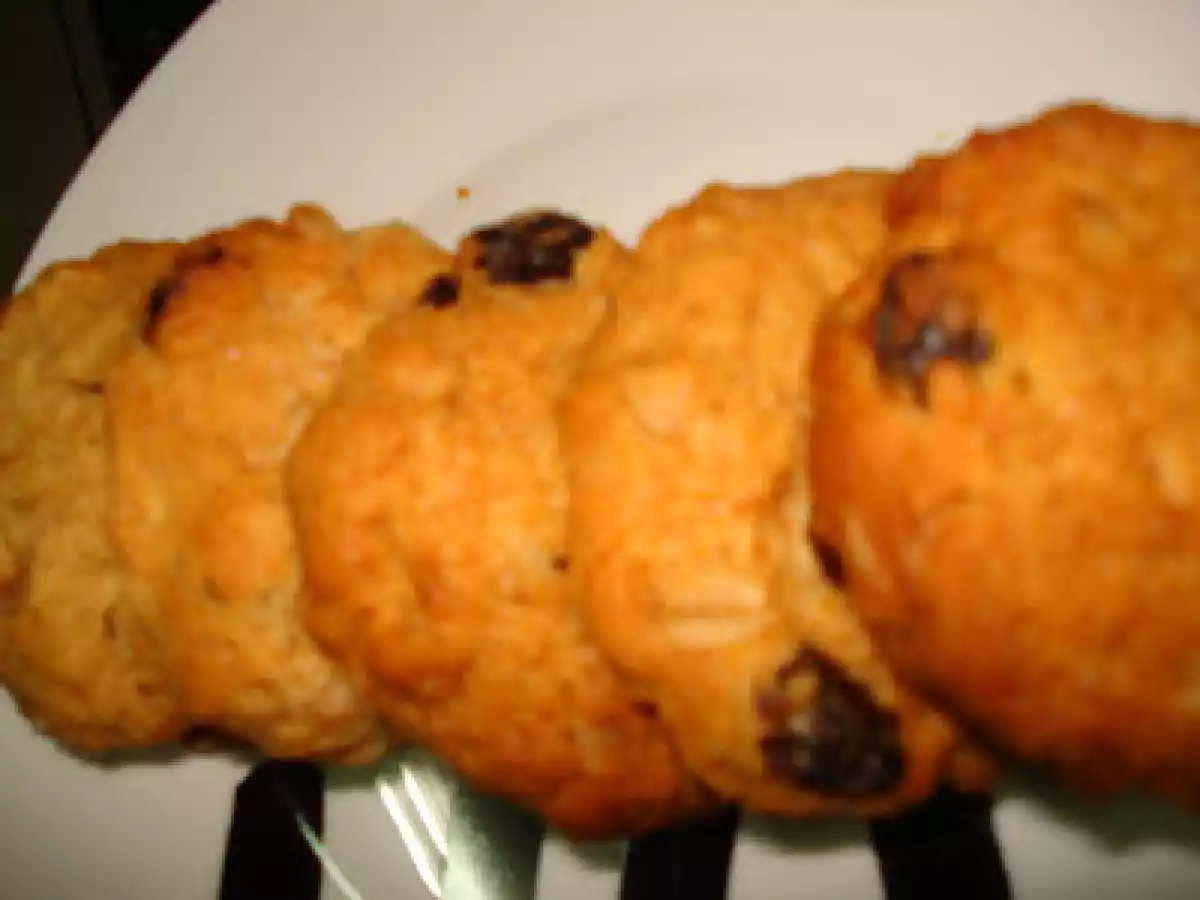 BISCOITOS DE AVEIA E PASSAS... - foto 5