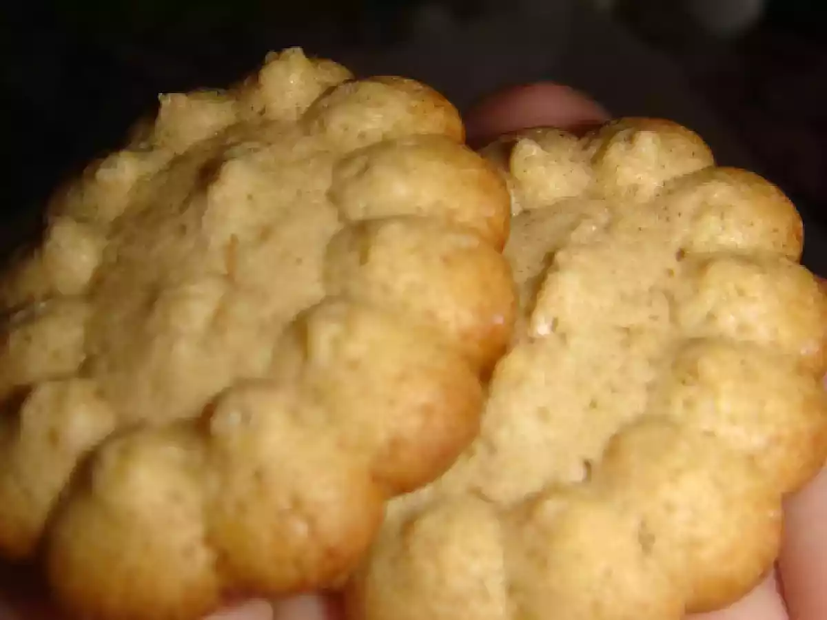 Biscoitos de Canela e Erva Doce