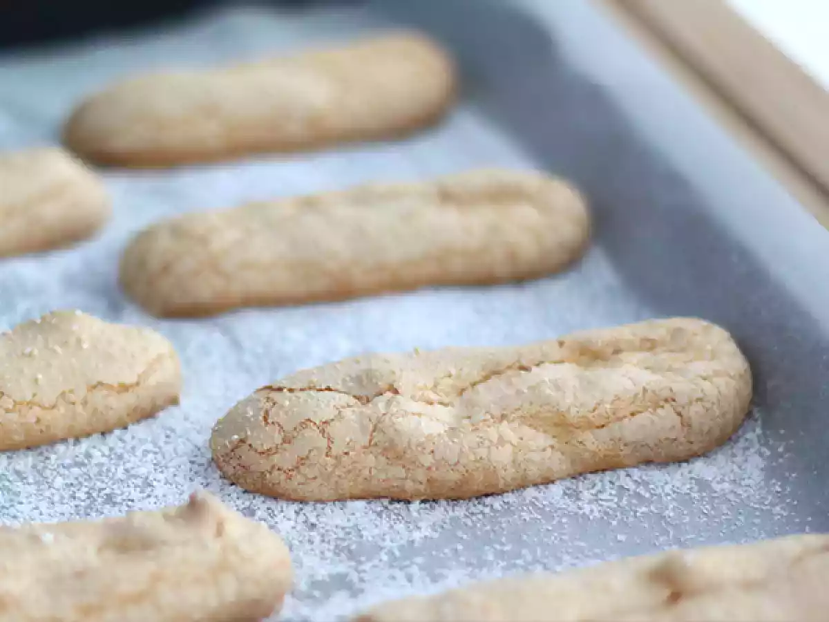 Bolacha champanhe sem gluten - foto 3