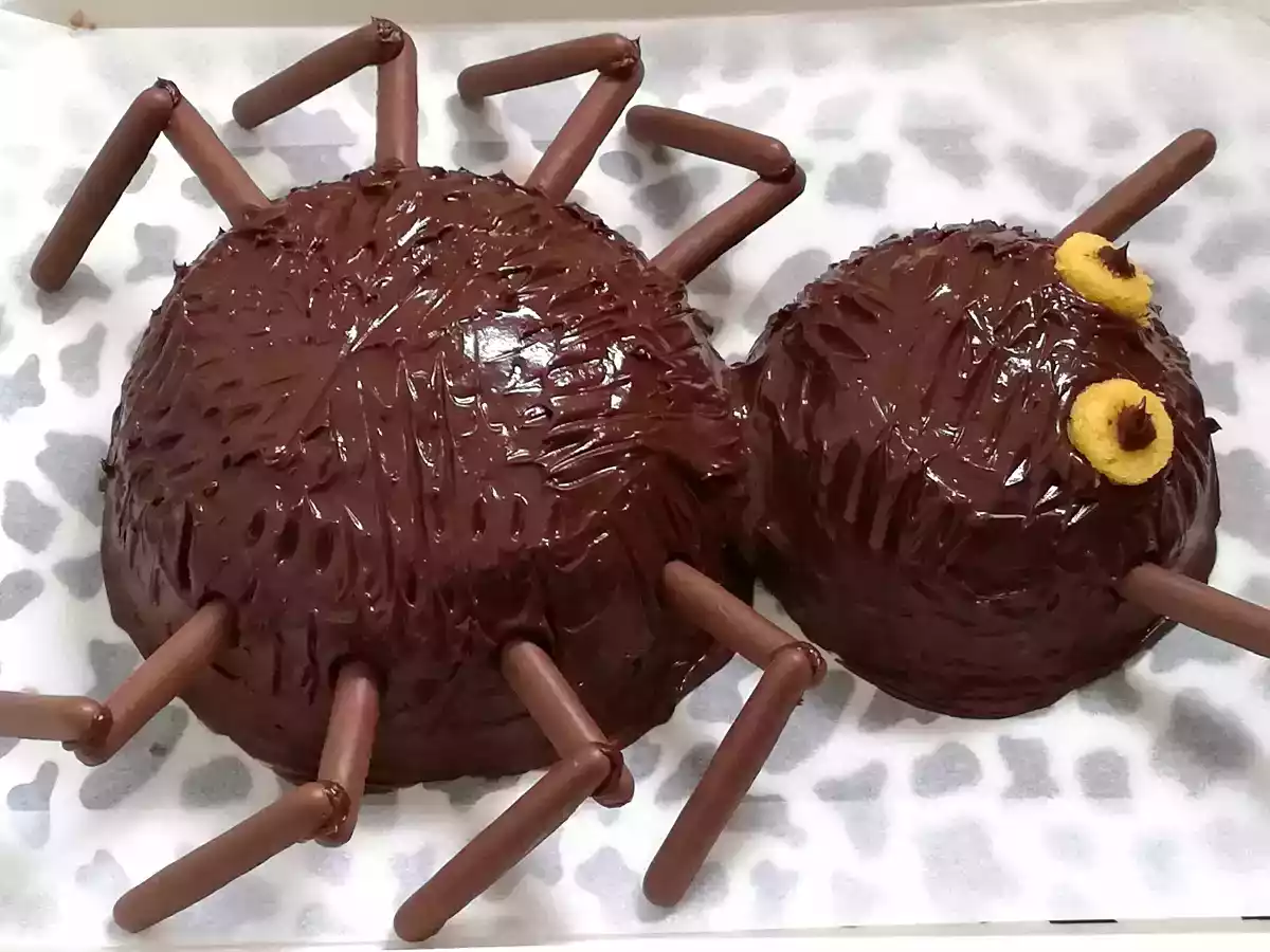 Bolo Aranha-Bolo tangerina-Especial Halloween