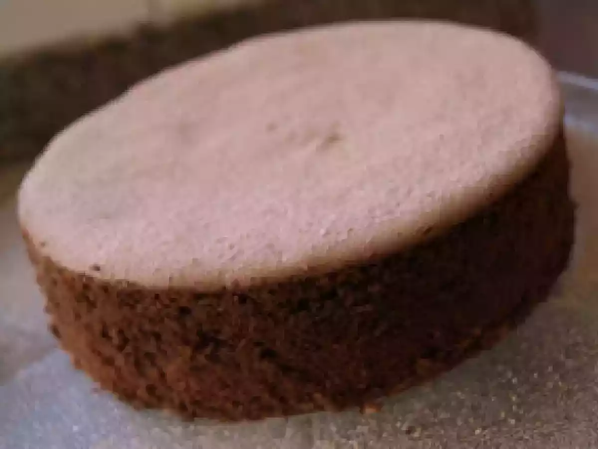 Bolo de Chocolate e Iogurte - foto 2