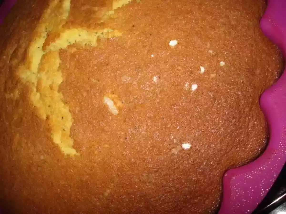 BOLO DE IOGURTE AROMATIZADO DE RASPAS DE LIMÃO, ENRIQUECIDO DE SEMENTES DE PAPOILA - foto 5