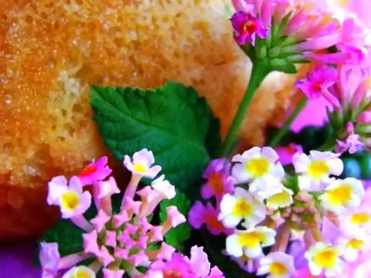 BOLO DE MANDIOCA E QUEIJO (receita mineira) SABOR BRASIL - foto 4