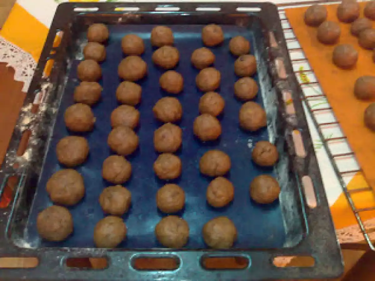 BROINHAS SANTAREM - foto 2