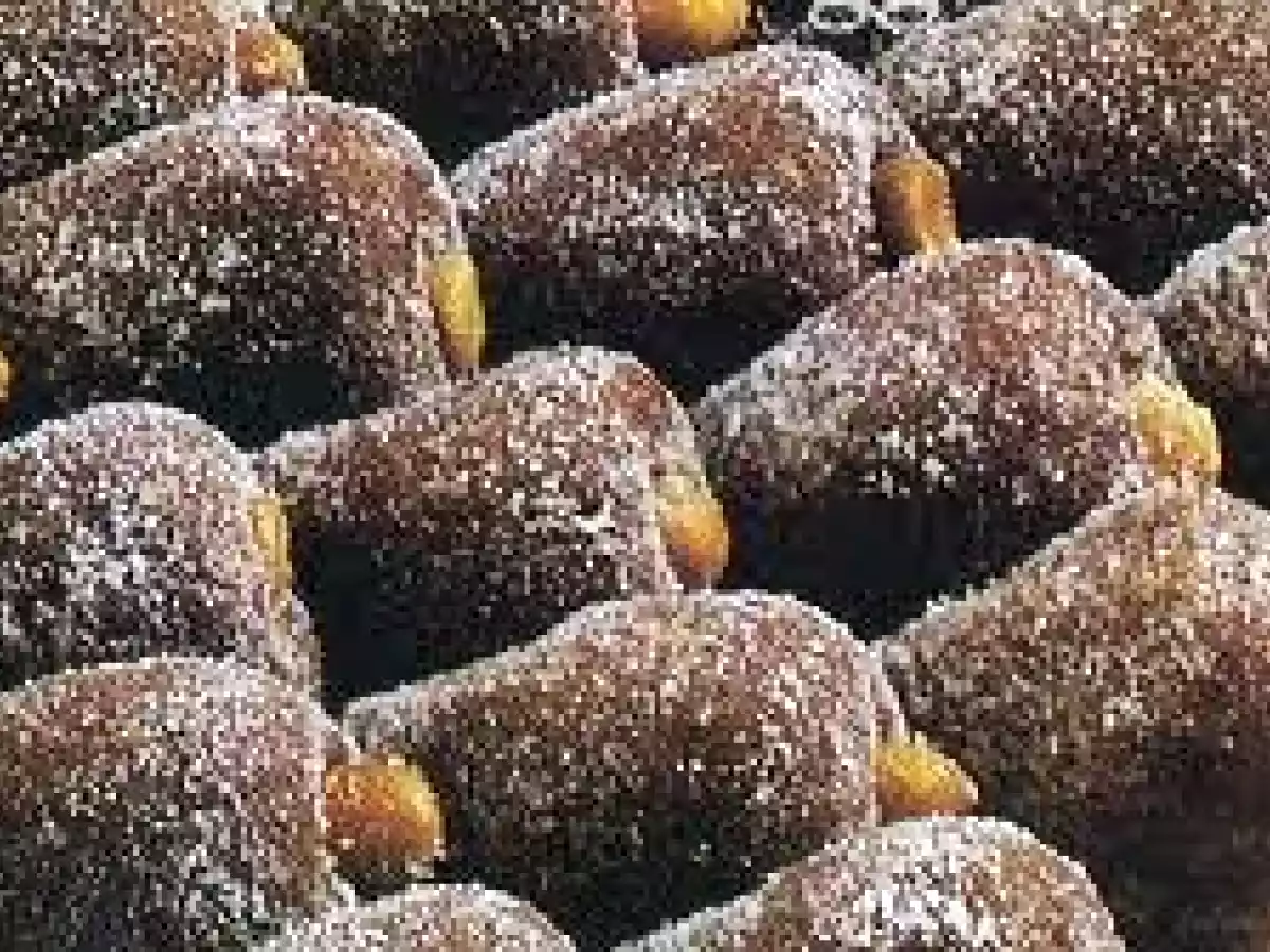 Cajuzinhos de Chocolate e Amendoim
