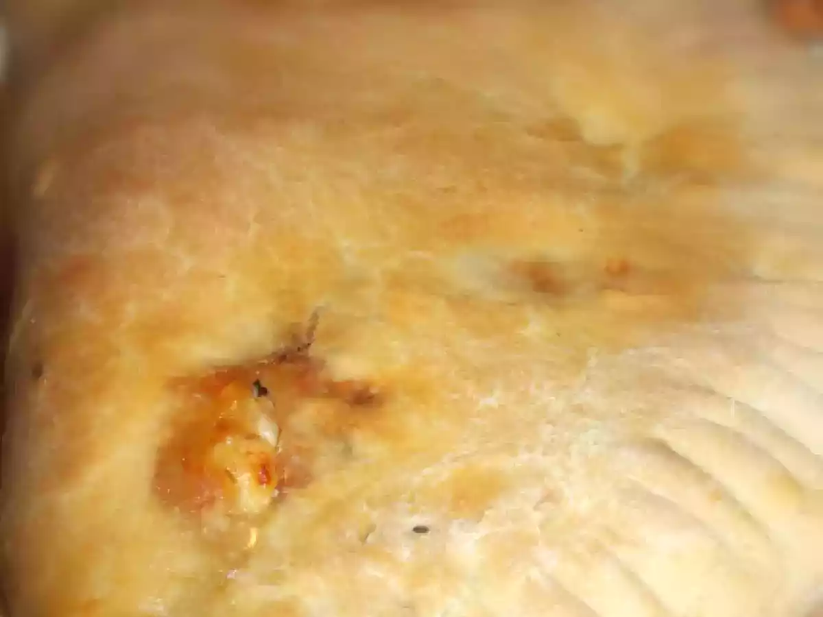Calzone de atum