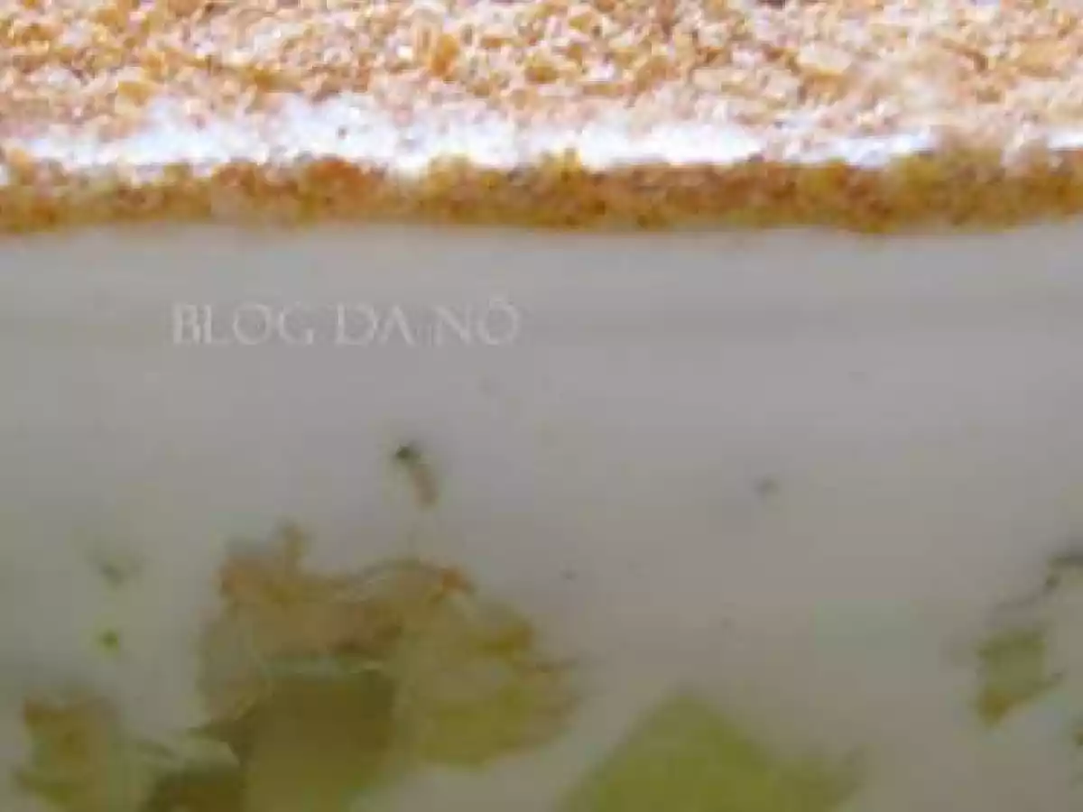 Camarão com Natas - foto 2