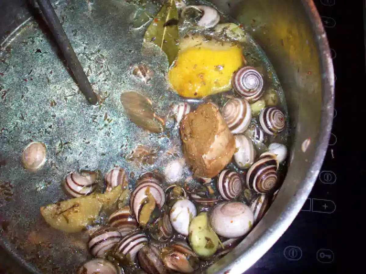 Caracóis como no Algarve