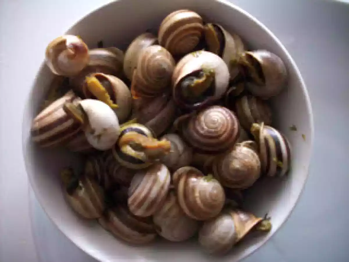 Caracóis como no Algarve - foto 2