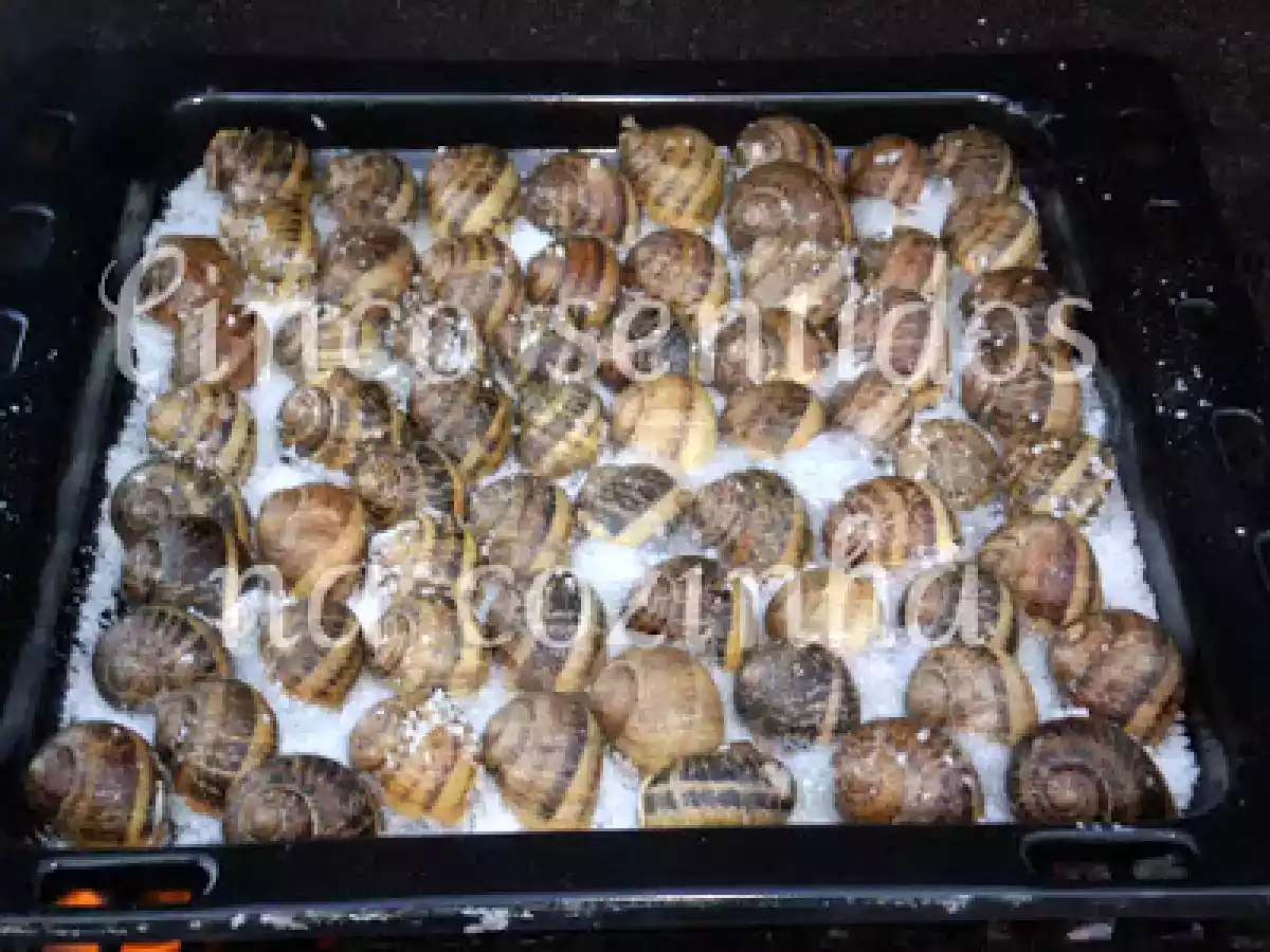 Caracoletas assadas - foto 4