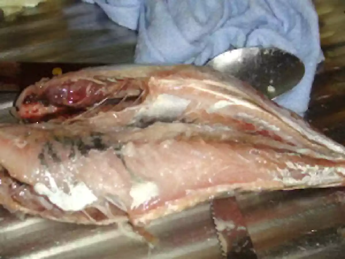 Carapau Cozido com Molho de Vinagre Azeite e Alho - foto 3