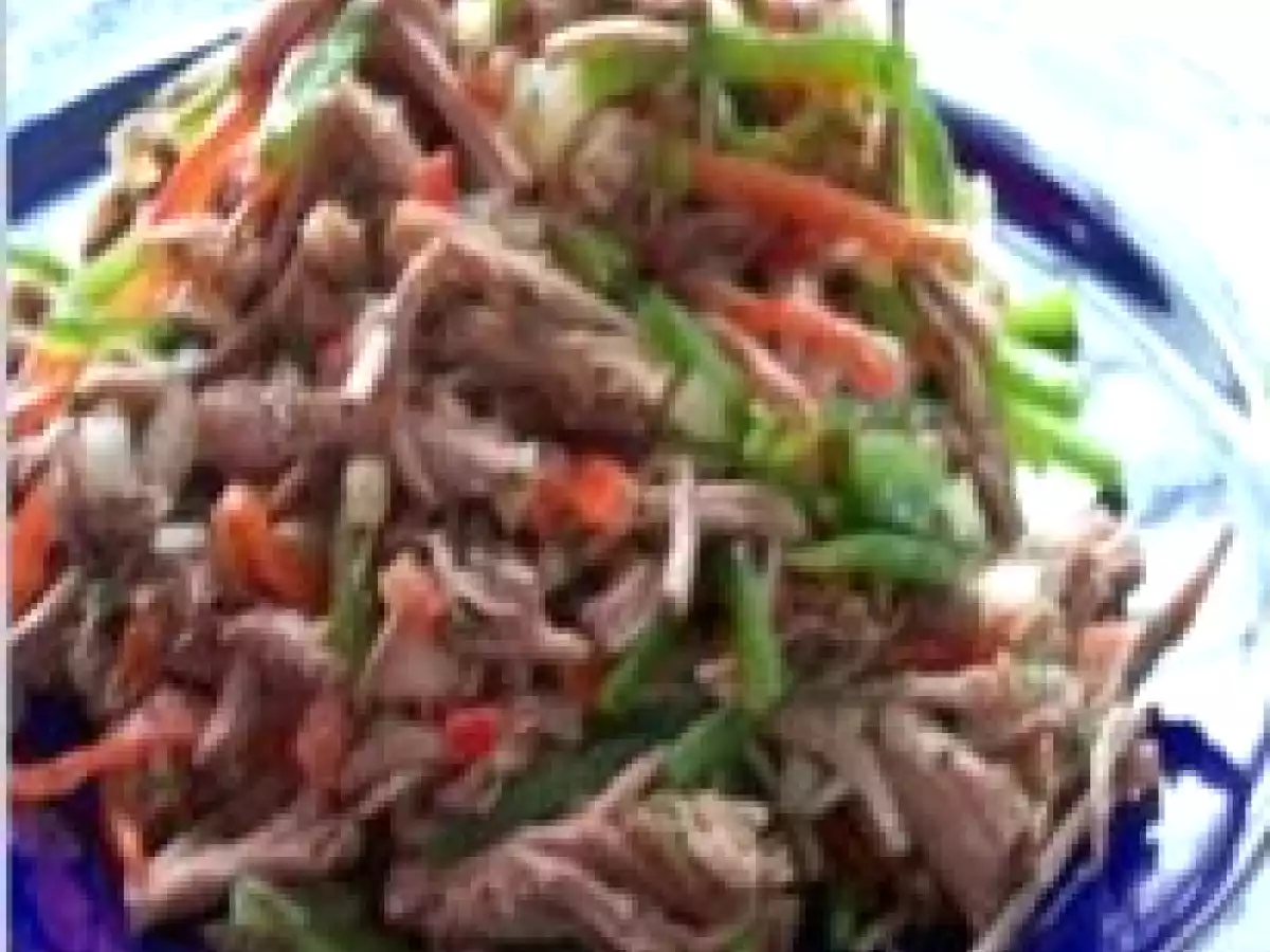Carne louca desfiada